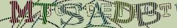 Retype the CAPTCHA code from the image